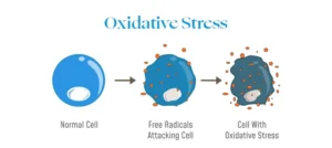 The concept of oxidative stress